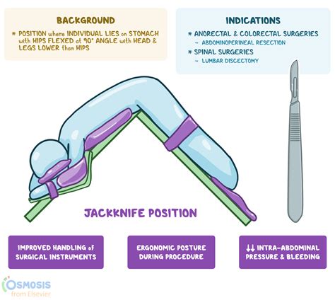 prone anal|prone.